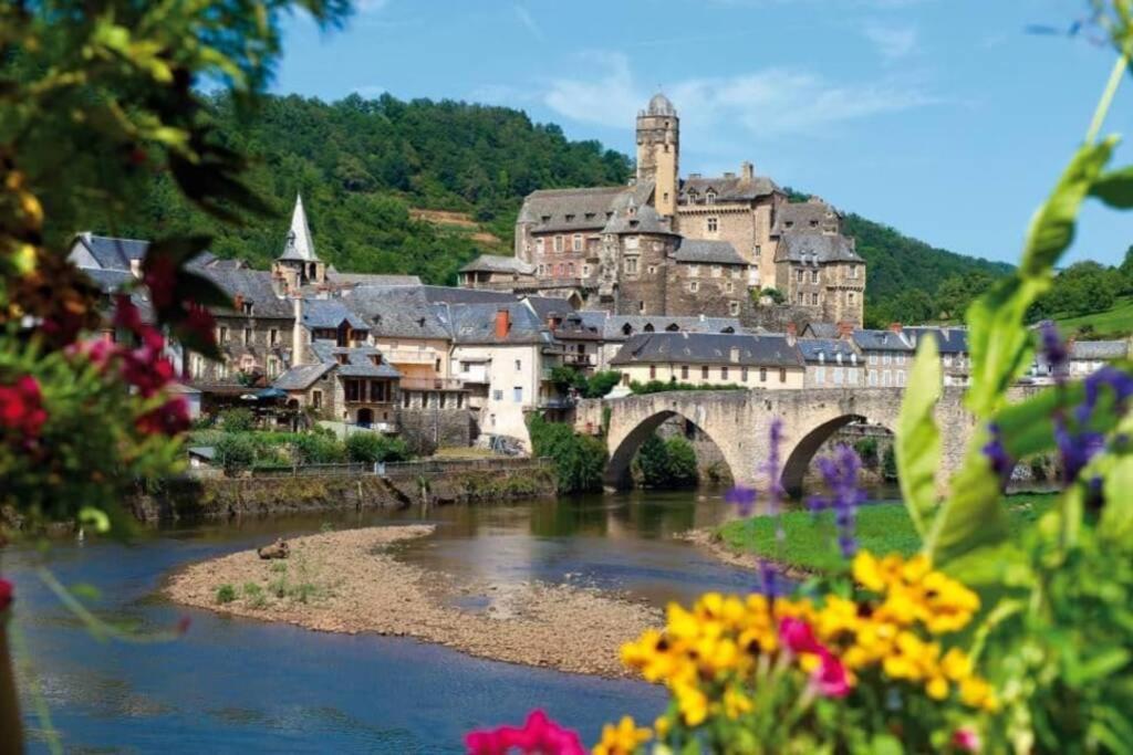 T 2 Dans Village Vacances 3 *** A Saint Geniez 2 Piscines Chauffee Pierrefiche  Luaran gambar
